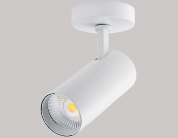 Ceiling mounted LED lamp