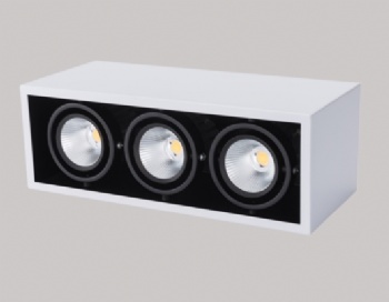 Surface mounted LED downlight